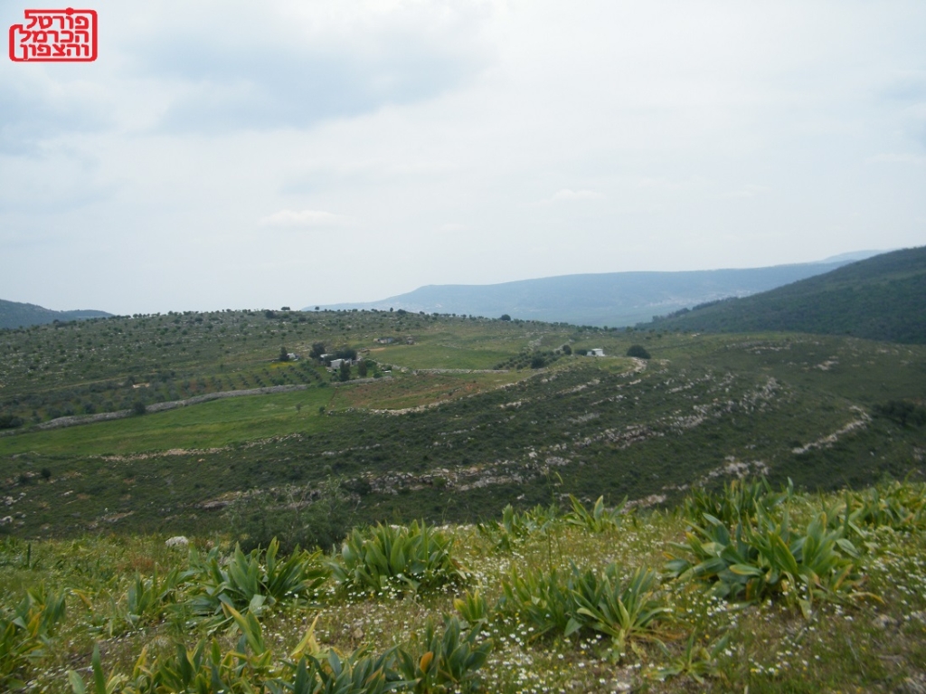 מהפכת האנרגיה הנקייה ברשויות הערביות