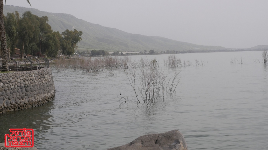 שערים יציגים למטבעות חוץ מיום 12/08/2025