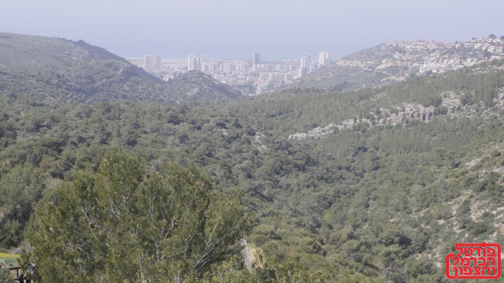   מסרון  מפרשת השבוע ואתחנן
