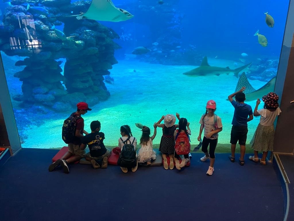 פורטל הכרמל