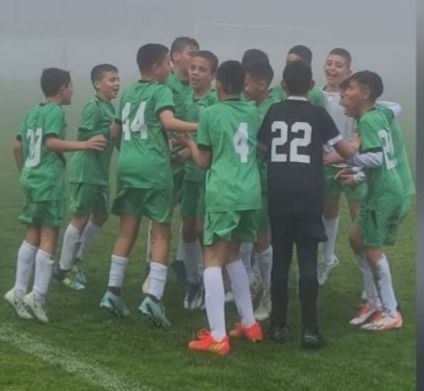 פורטל הכרמל