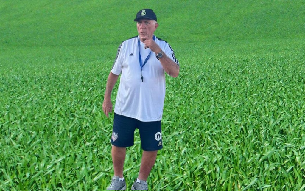 הצלחת המגזר בכדורגל