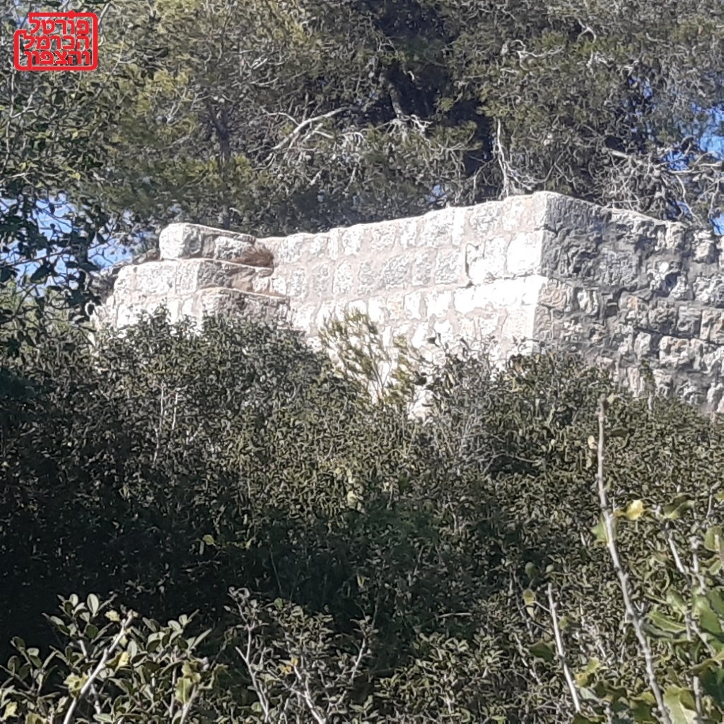 פורטל הכרמל