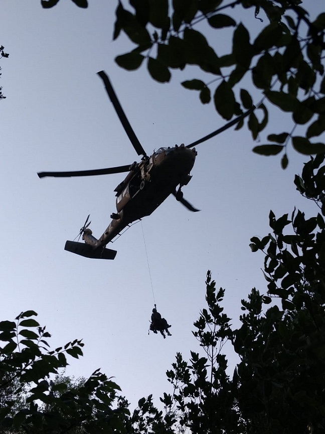 פורטל הכרמל