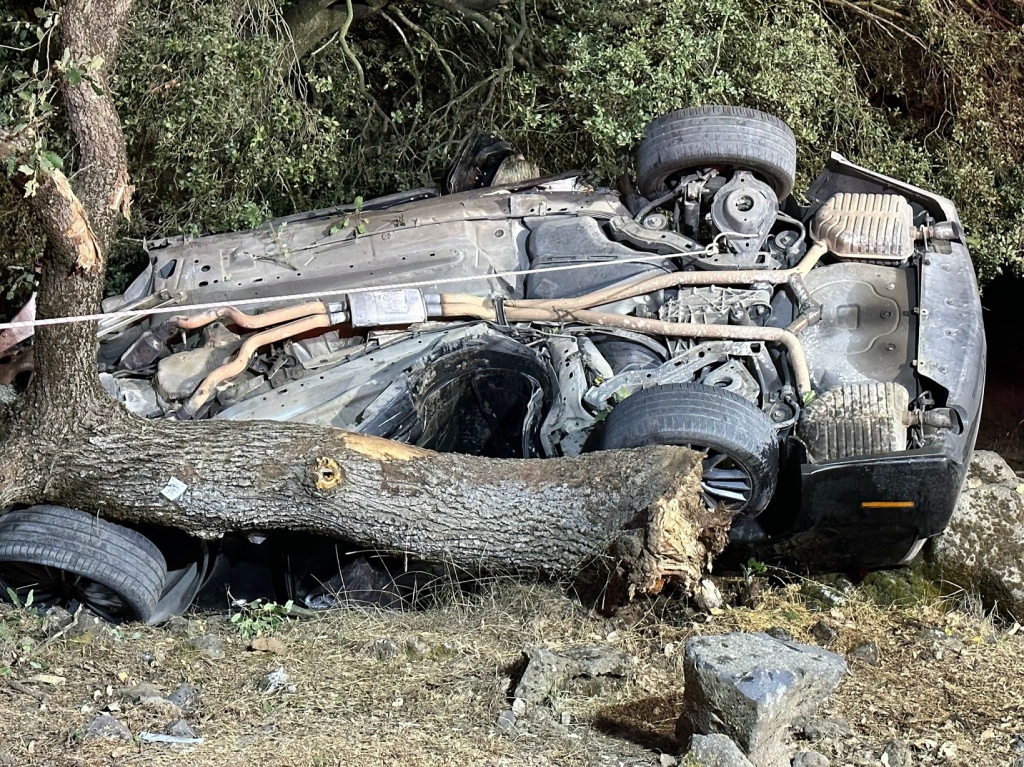 פורטל הכרמל