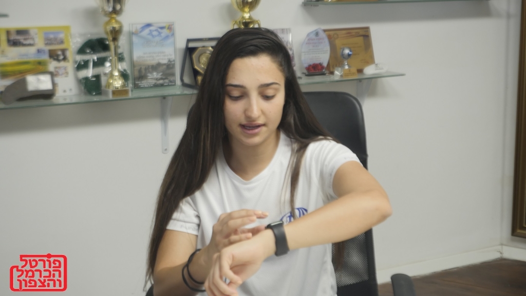 פורטל הכרמל