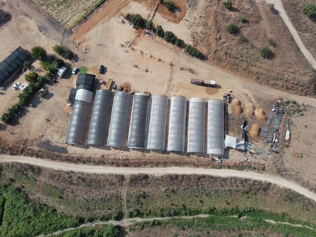 פורטל הכרמל