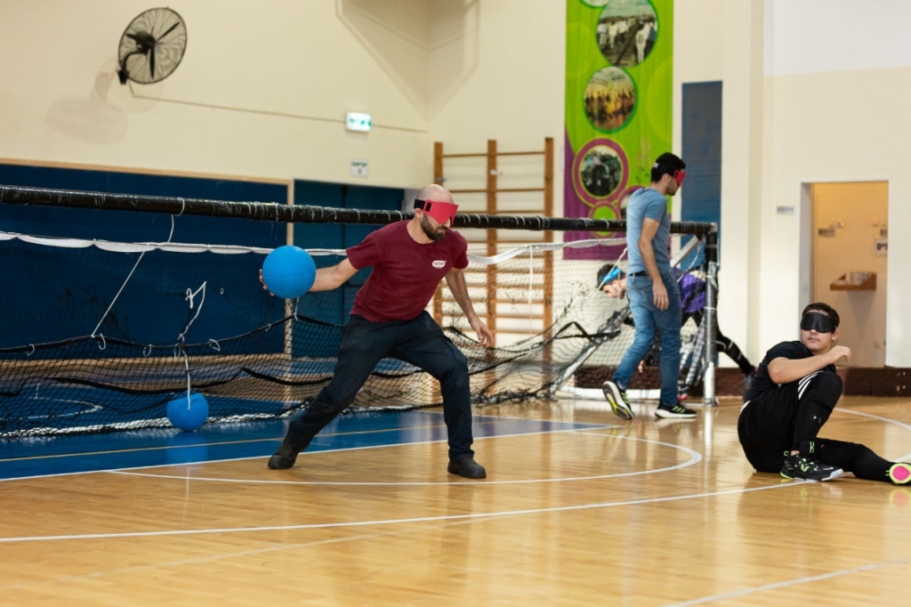 פורטל הכרמל