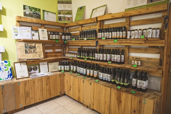 מרכז המבקרים של סינדיאנת הגליל