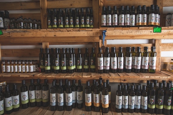 פורטל הכרמל