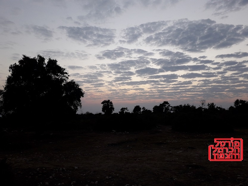 הקשר בין סופות ברקים לענני נוצה