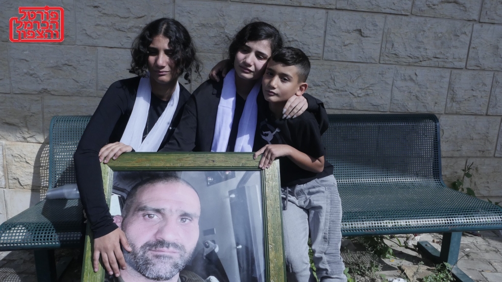 פורטל הכרמל