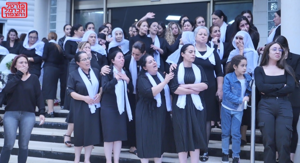 פורטל הכרמל