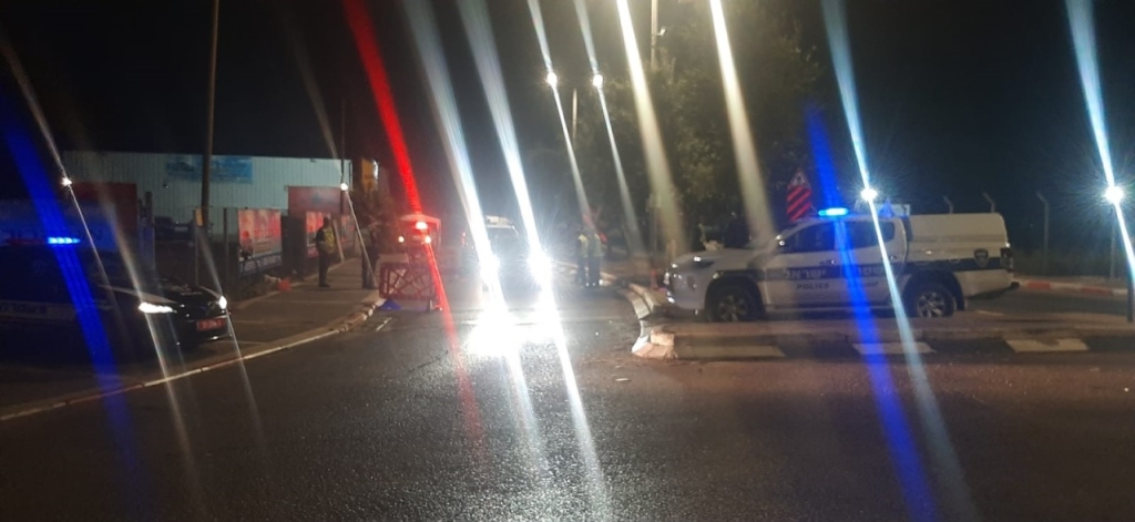 פורטל הכרמל