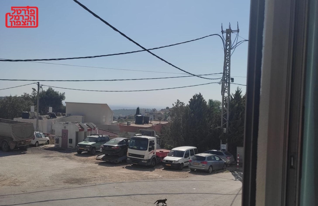 פורטל הכרמל