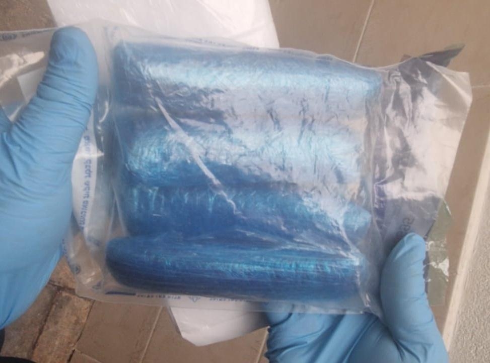 פורטל הכרמל