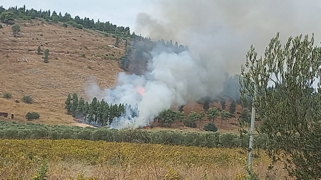 פורטל הכרמל