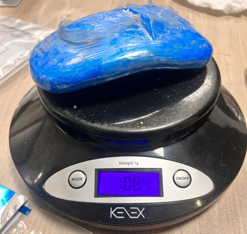 פורטל הכרמל