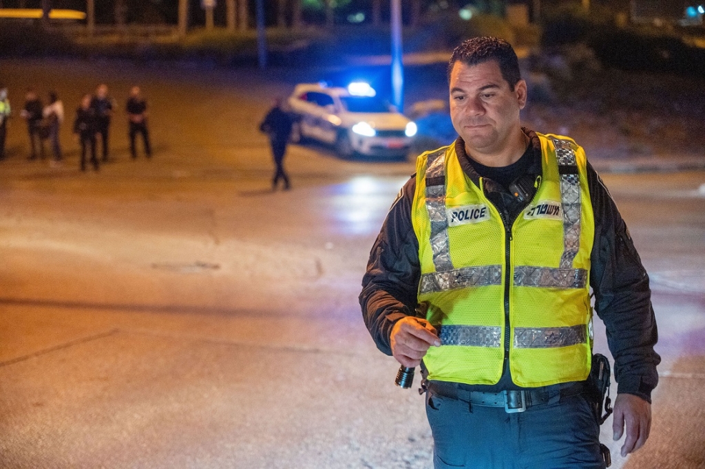 פורטל הכרמל