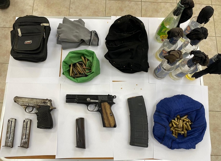 פורטל הכרמל