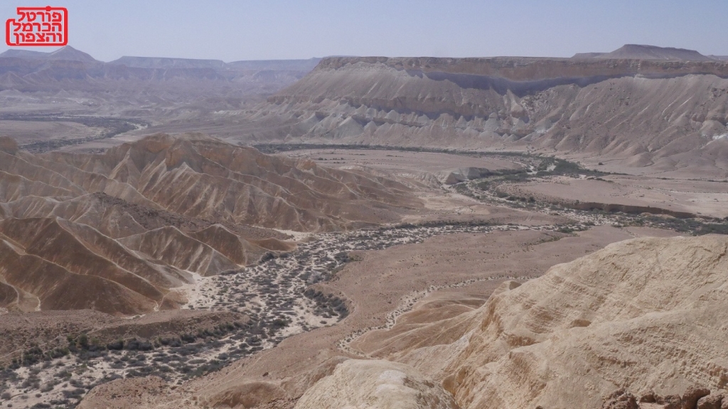 מסרון מפרשת ויצא