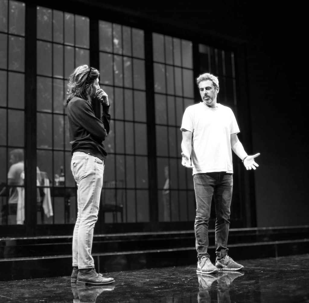 "מפקח בא לתיאטרון" 