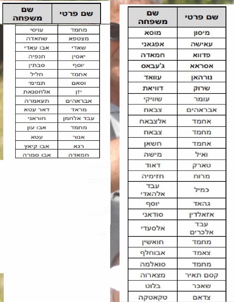 פורטל הכרמל