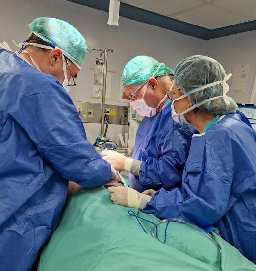 פורטל הכרמל