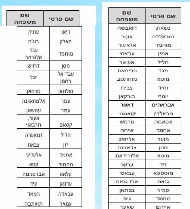 פורטל הכרמל