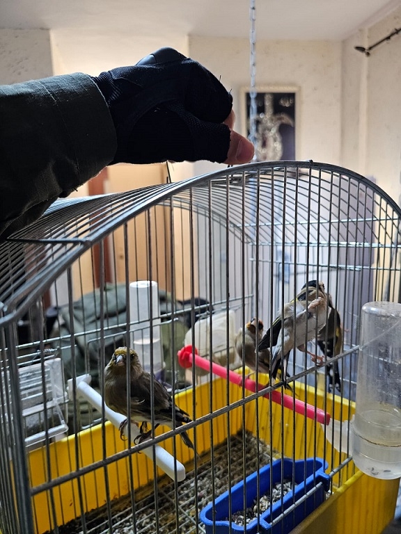 פורטל הכרמל