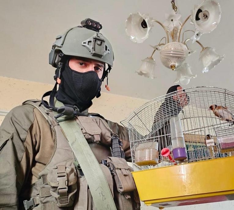 לוחמים חילצו ציפורים מוגנות במהלך פעילות בשכם