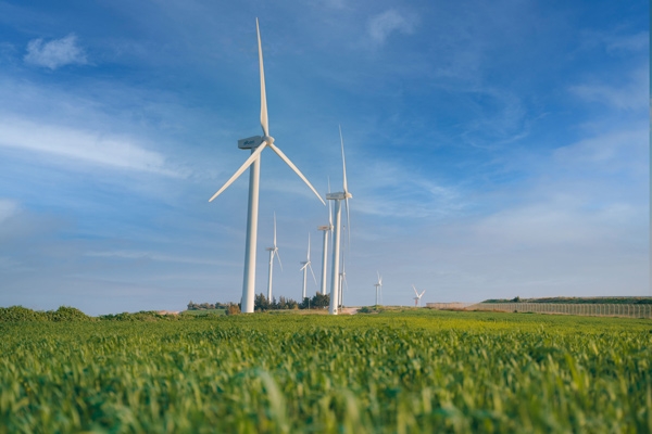 חושבים קדימה לימים טובים: יום כיף וגיבוש בחוות הרוח בגלבוע