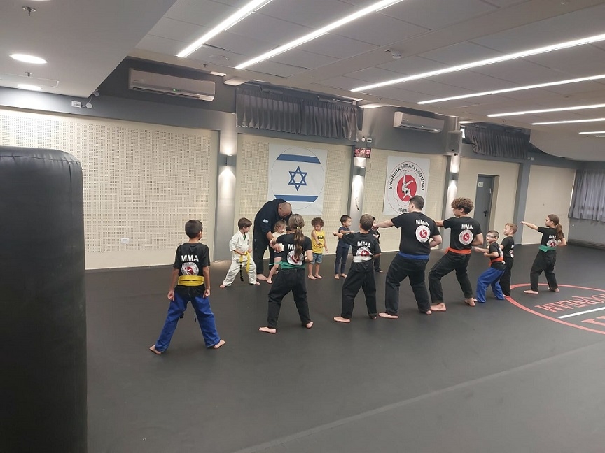 פורטל הכרמל