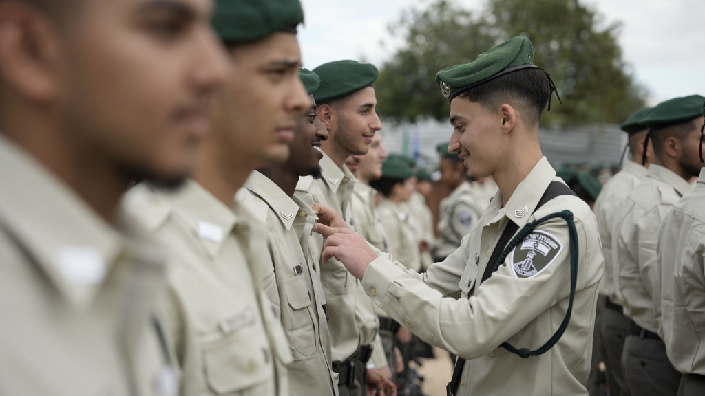 פורטל הכרמל