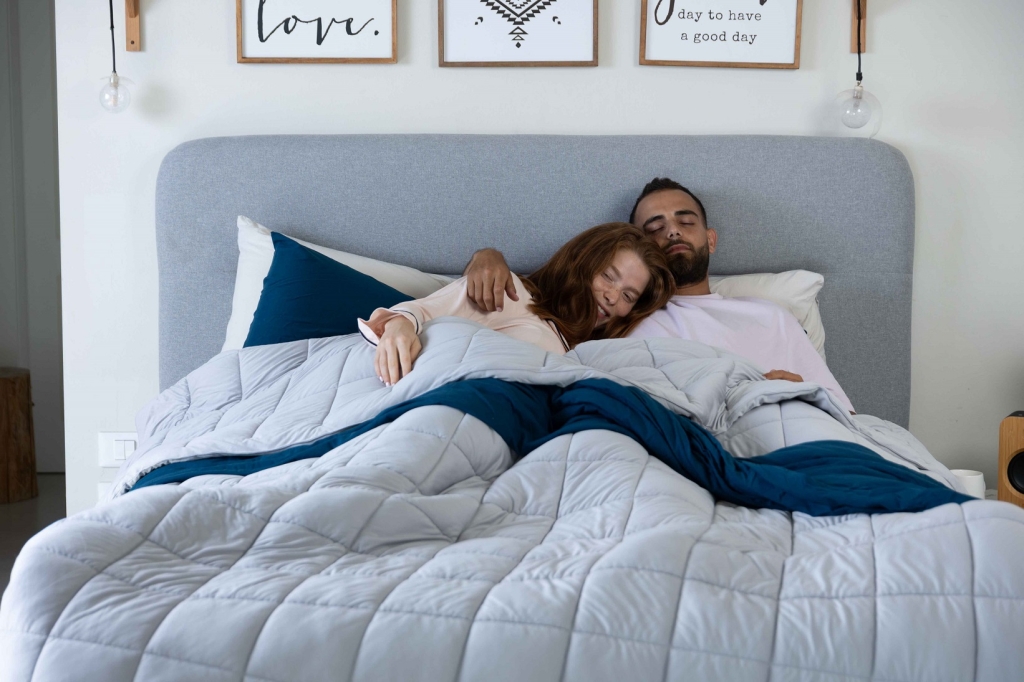 פורטל הכרמל