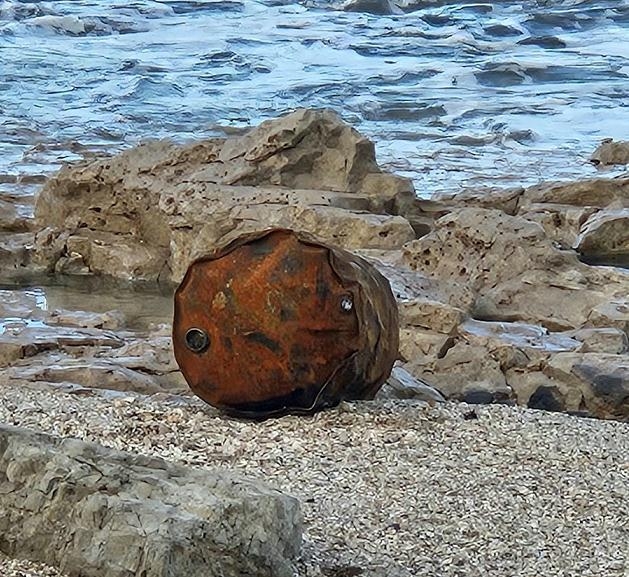 פורטל הכרמל