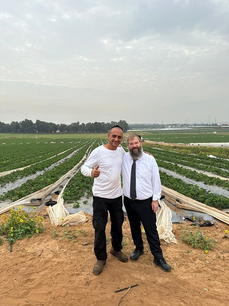 פורטל הכרמל