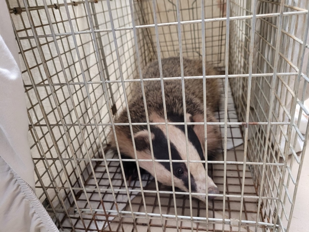 פורטל הכרמל