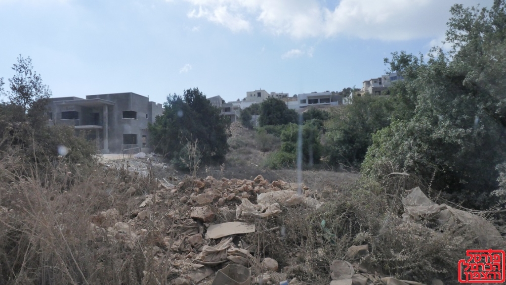 חנינות עבור בעלי חובות בגין קנסות