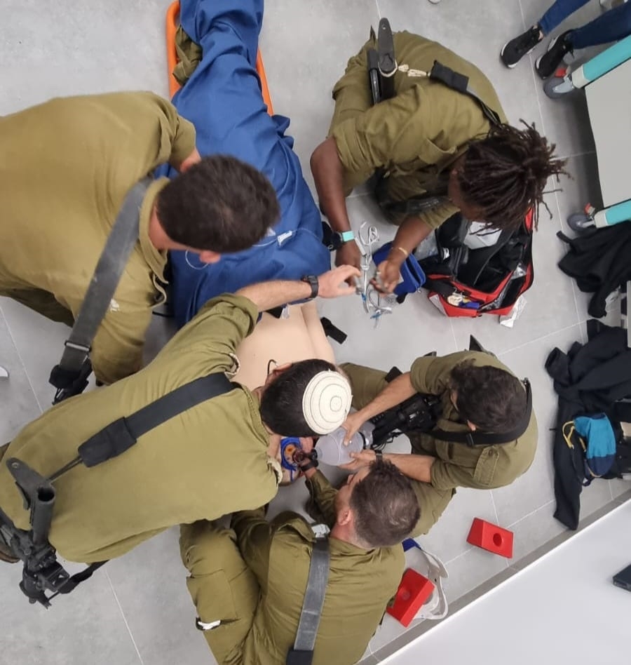 פורטל הכרמל