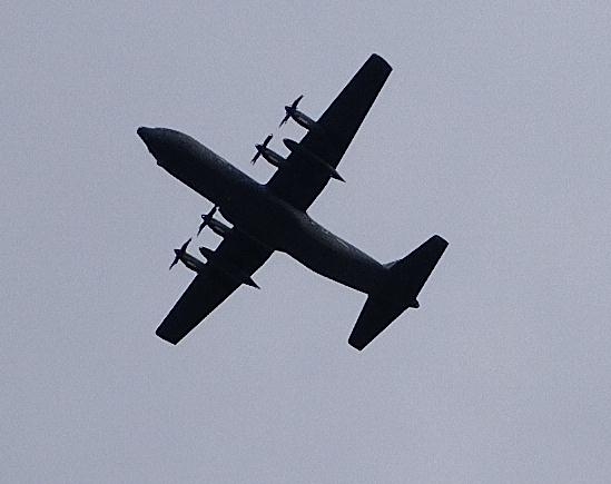 פורטל הכרמל