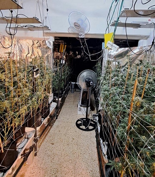 פורטל הכרמל