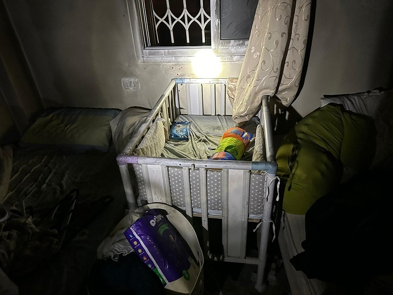 פורטל הכרמל