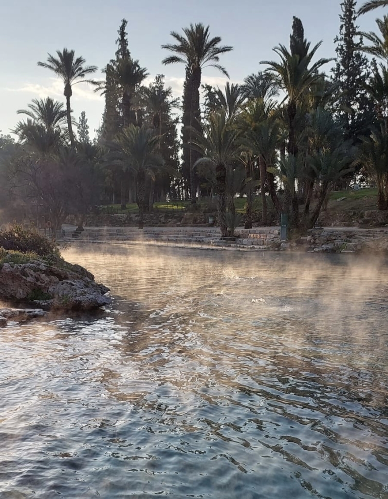 פורטל הכרמל