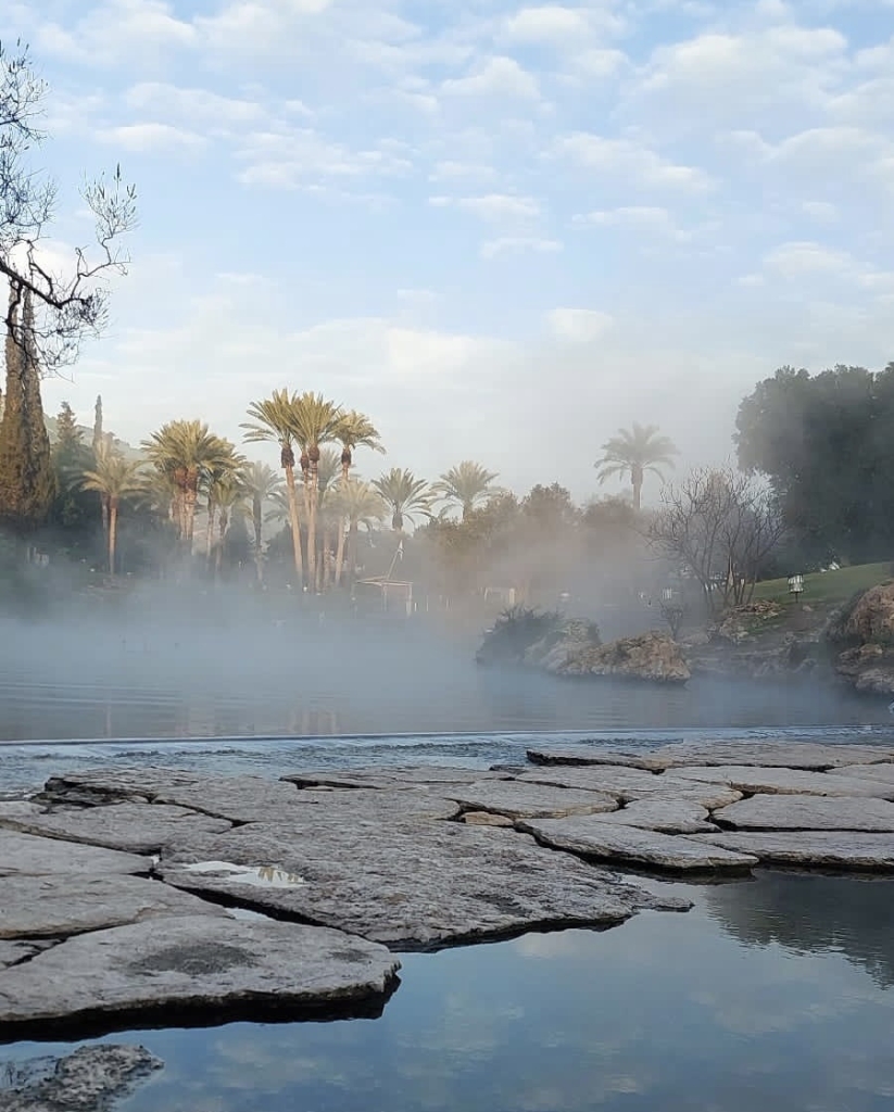 פורטל הכרמל