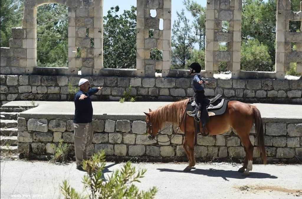 פורטל הכרמל