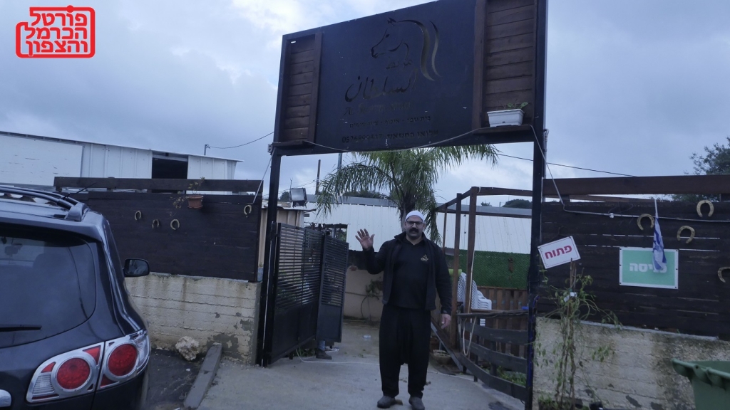 פורטל הכרמל