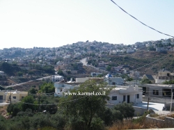 נלחמים בשפעת