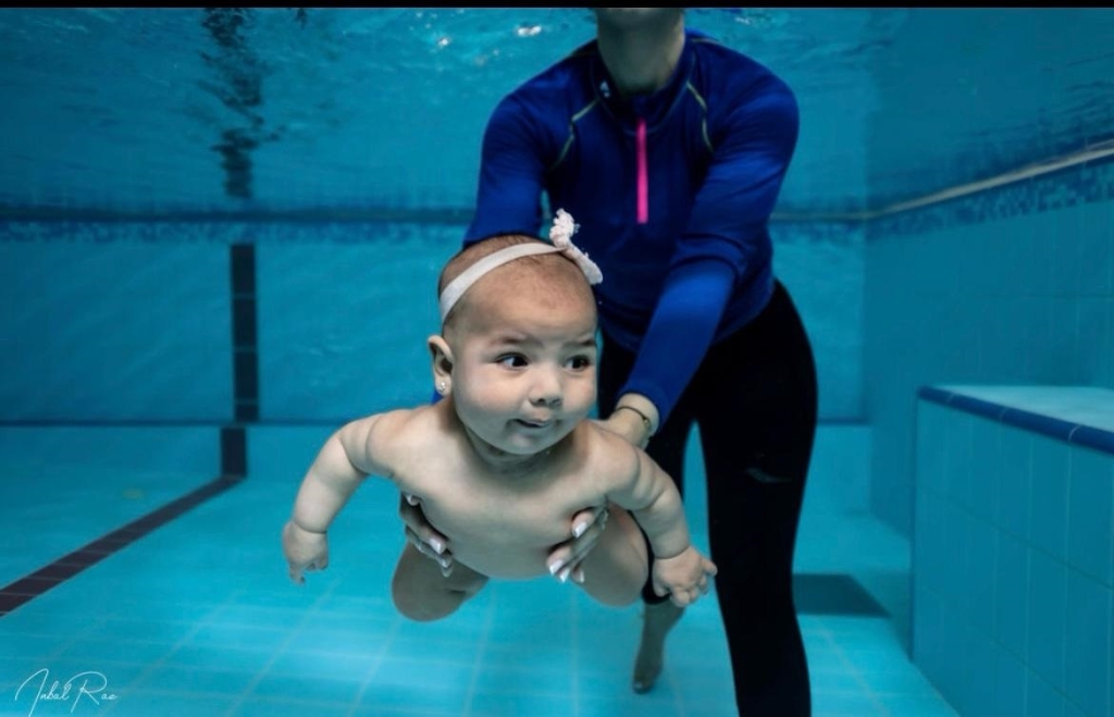 פורטל הכרמל