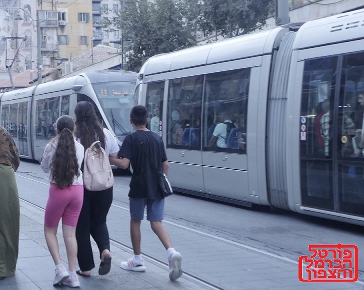 פורטל הכרמל